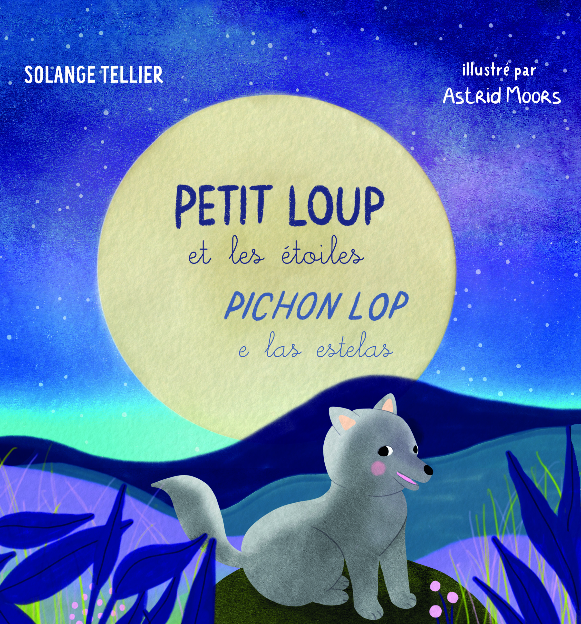 visuel 1ere couv en 300 copie